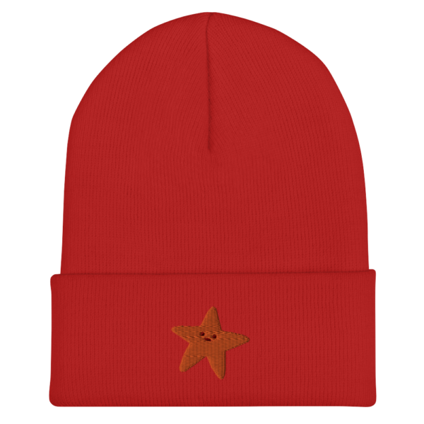 Gold Star Cuffed Beanie