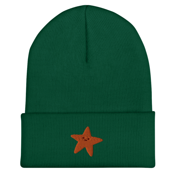 Gold Star Cuffed Beanie